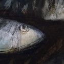 47
